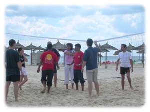 Beach volleyhamm