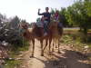 excursion montagne