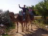 excursion