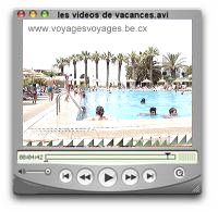 videoshotdanse des canards